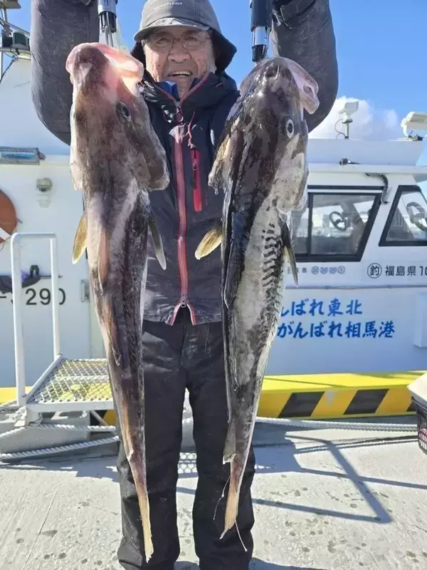 「【釣果速報】福島県つりエサ豊漁でタラ好調！85cmのどっしりサイズ上がる！大物タラの引きを存分に感じられる大満足の釣行に！」の画像