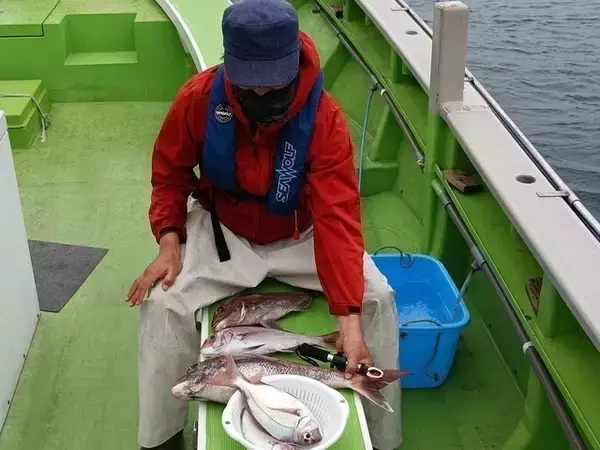 【釣果速報】海況のハンデを乗り越え2.60kgのマダイゲット！あなたも千葉県利八丸で良型マダイを狙おう！
