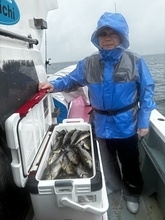 【釣果速報】納竿までイサキざんまい！神奈川県正海丸で全員30匹以上ゲットの快挙！初心者さんもいらっしゃい！