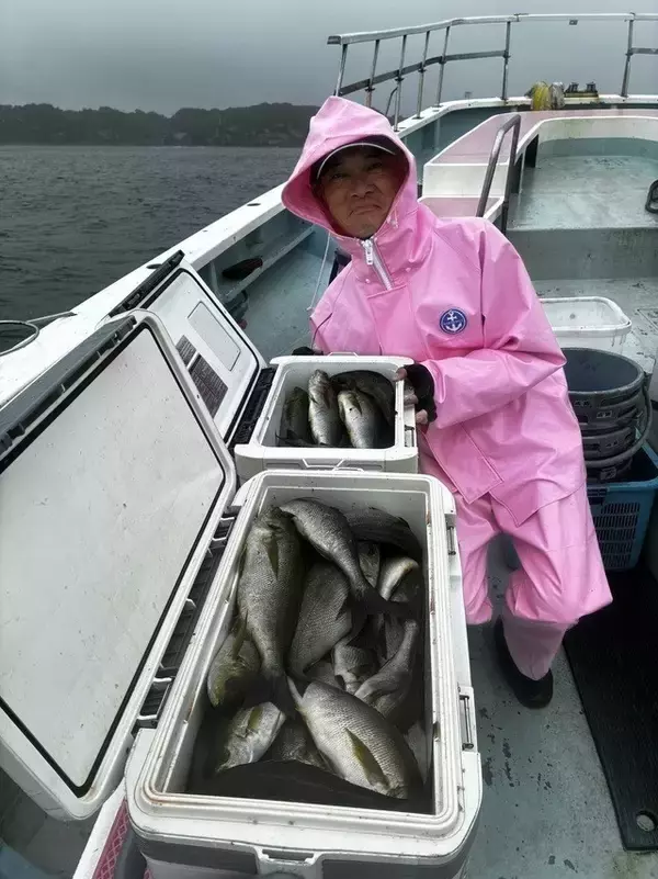 「【釣果速報】納竿までイサキざんまい！神奈川県正海丸で全員30匹以上ゲットの快挙！初心者さんもいらっしゃい！」の画像