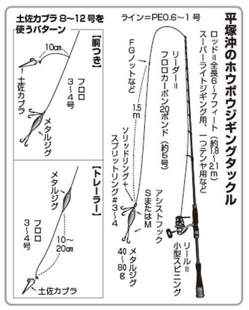 手軽に遊べる冬のお楽しみ　相模湾のホウボウジギング