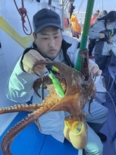 【釣果速報茨城県日立丸でマダコ順調に上がる！29匹以上ゲット！キロオーバーの良型も交じり好調！