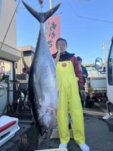 【釣果速報】神奈川県ちがさき丸でドドンと35.50kgの巨大キハダ上がる！この好調ぶりを自分の目と手で確かめよう！