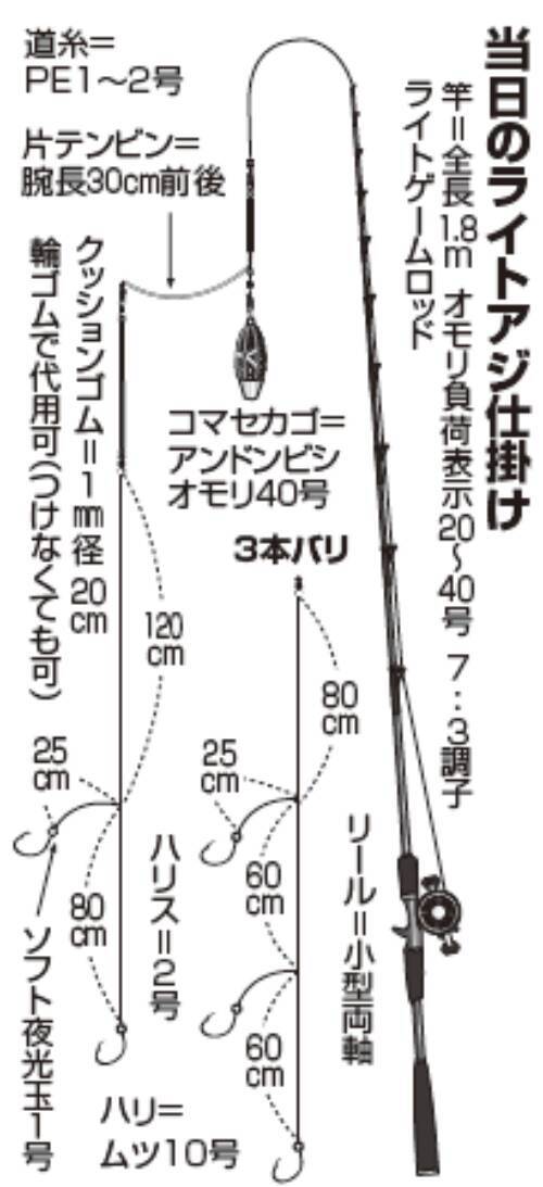 だれでも手軽に楽しめる八景沖のライトアジは秋の行楽シーズンに最適