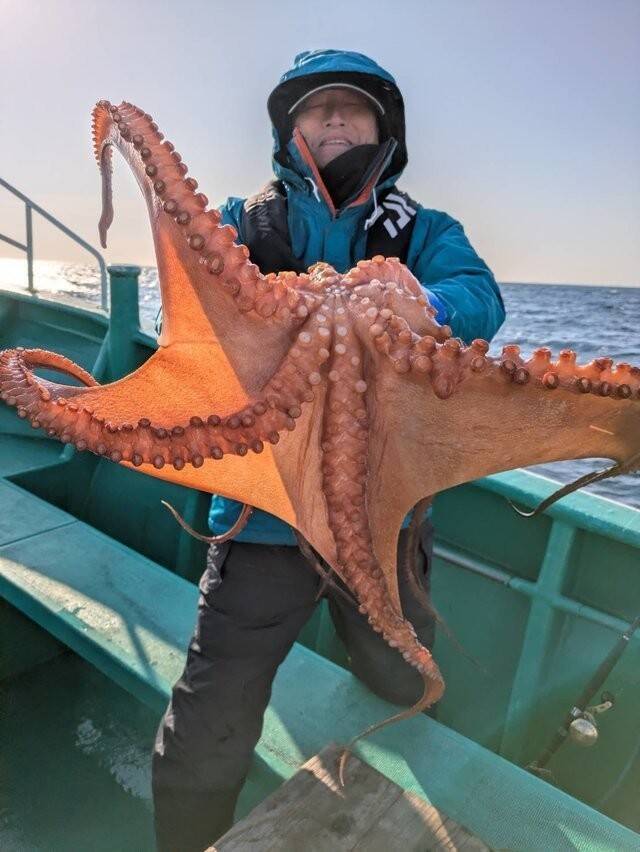 【釣果速報】茨城県長岡丸で最大5.90kgのマダコを筆頭に大物炸裂！今後も右肩上がりに釣果が上向く見込み！このビッグウェーブ、乗るっきゃない！