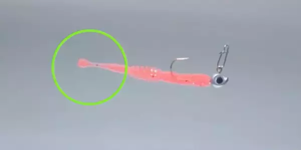 アジハンターワーム シラスは2022年新登場のアジング用ストレートワーム！