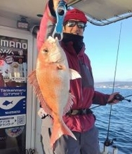 【釣果速報】大阪府RAKU MARU（楽丸）でマダイ全員安打達成！仲間とわいわい釣りを楽しみたいならRAKU MARUに決まり！