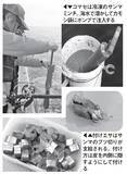 「カモシシーズン開幕！ 伝統釣法で大物に挑む」の画像7