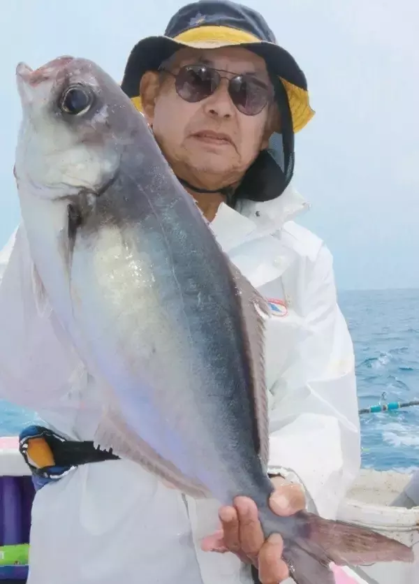 「カモシシーズン開幕！ 伝統釣法で大物に挑む」の画像