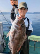 【釣果速報】兵庫県豊楽丸でドドンと84cmのマダイ上がる！さらなる大物を目指す船長のもとにみんな集まれ！