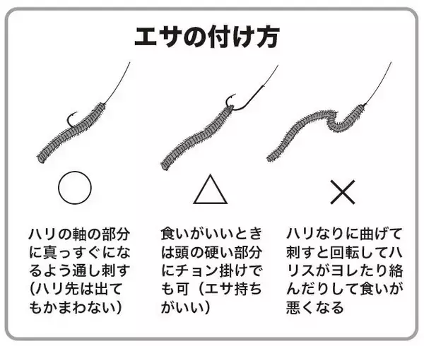 「連日トップが束超え！　今年はキスも当たり年」の画像