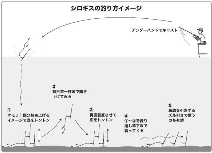 連日トップが束超え！　今年はキスも当たり年