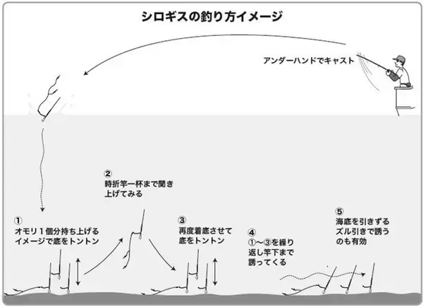 「連日トップが束超え！　今年はキスも当たり年」の画像