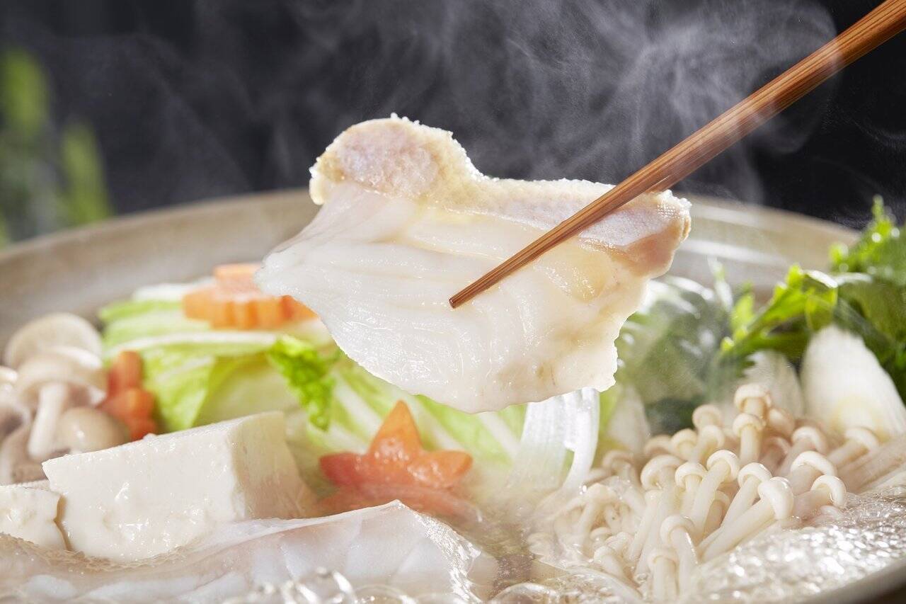 クエってどうやって釣ればいいの？釣り方や時期・おすすめタックルをピックアップ