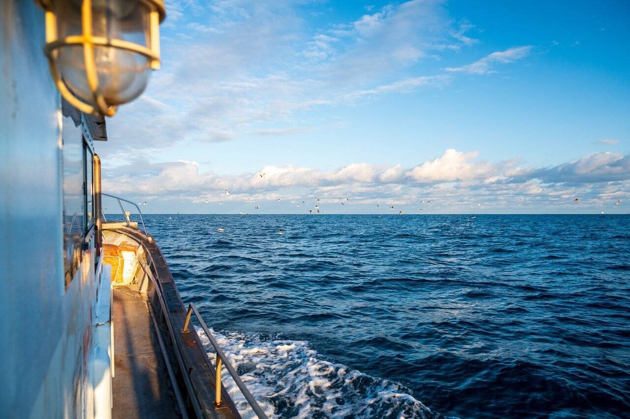 クエってどうやって釣ればいいの？釣り方や時期・おすすめタックルをピックアップ