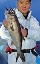 良型クロムツ急上昇中！　短時間に集中して挑もう