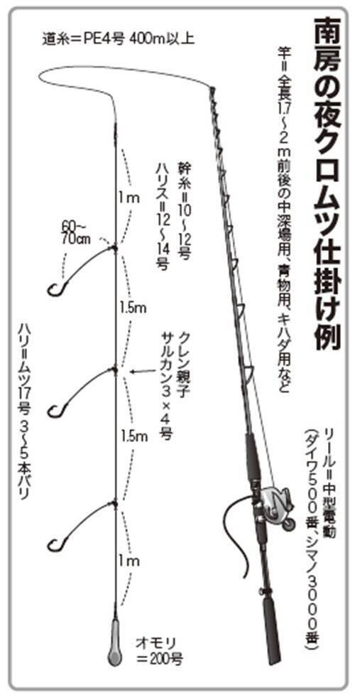 良型クロムツ急上昇中！　短時間に集中して挑もう