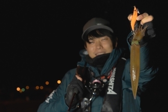 ライトエギング釣行記Vol.3 ～晩秋の北海道、小樽で挑む！ヤリイカ＆マメイカ3DAYS～