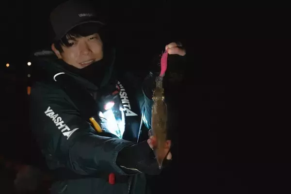「ライトエギング釣行記Vol.3 ～晩秋の北海道、小樽で挑む！ヤリイカ＆マメイカ3DAYS～」の画像
