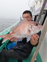 【釣果速報】茨城県長岡丸でマダイ好調！トップ5匹！今後の釣行も期待大！