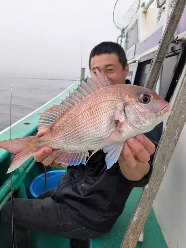 【釣果速報】茨城県長岡丸でマダイ好調！トップ5匹！今後の釣行も期待大！
