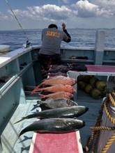 【釣果速報】神奈川県正海丸で4.30kgの大型マダイをキャッチ！イナダのアタリも好調！人気者を一気にゲットできるリレー船が今、大人気！