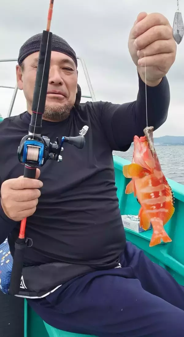 【釣果速報】神奈川県海力丸でオオモンハタGET！高級魚の興奮をあなたも味わってみませんか？