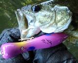 「スミスのルアーを使って釣りを楽しみたい！おすすめのトップウォータールアー特集」の画像10