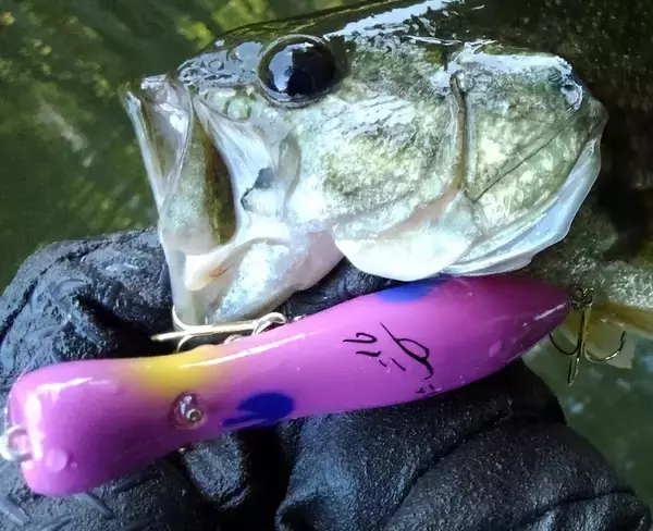 「スミスのルアーを使って釣りを楽しみたい！おすすめのトップウォータールアー特集」の画像