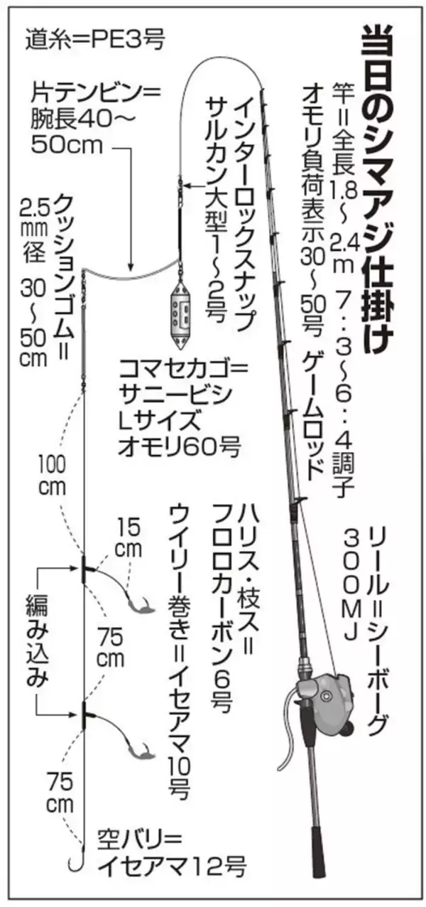 「近場で気軽にトライできる南房布良瀬のシマアジ好期」の画像