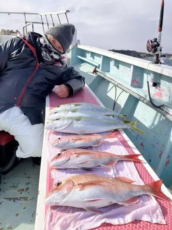 【釣果速報】神奈川県正海丸で人気のマダイとイナダ好調！好調な今、絶対乗るべき！