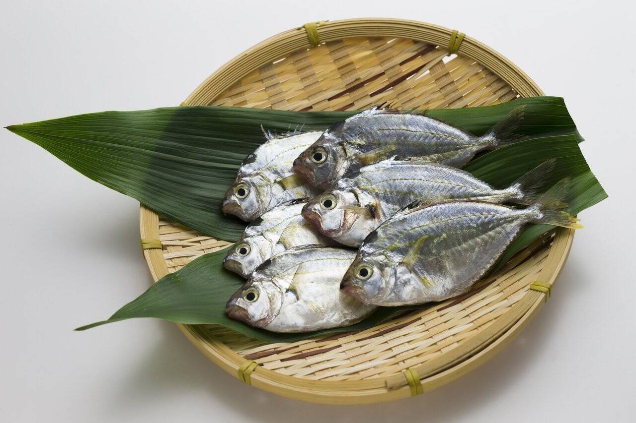 ヒイラギって魚知ってる 釣り方からさばき方 おすすめの料理法まで一挙ご紹介 19年11月21日 エキサイトニュース
