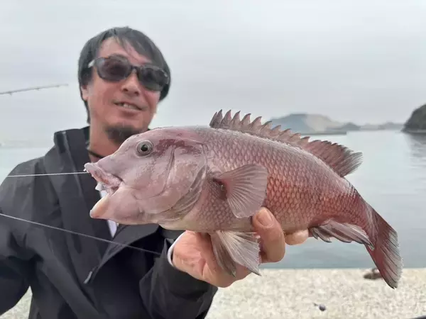 スーパーマルチアングラー・前山智孝が真剣に波止のコブダイを狙ったら…楽々ブッ込み釣り攻略術