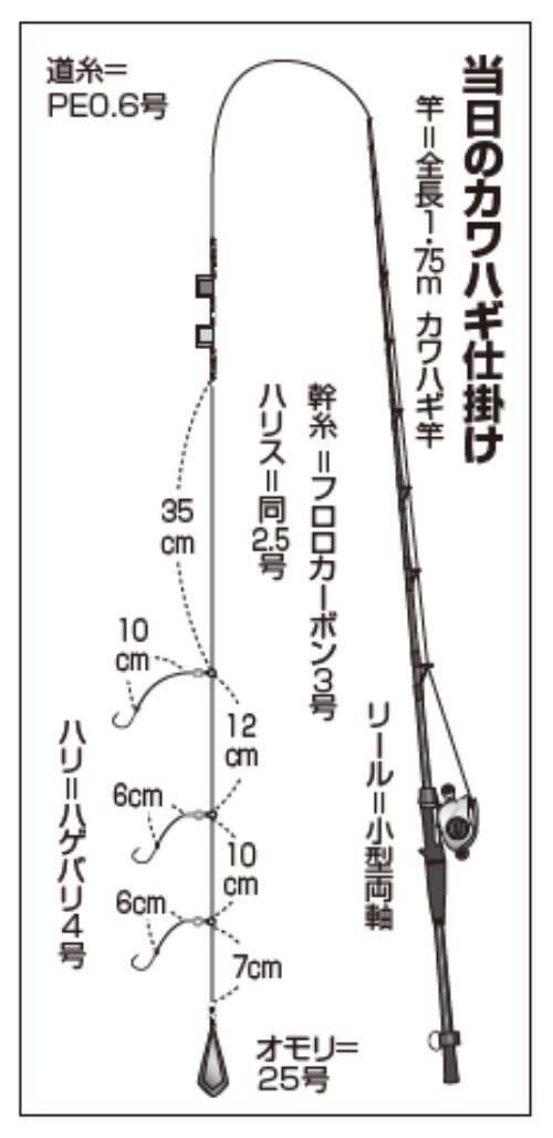 竹岡沖のカワハギ盛況 狙うは肝パンの良型