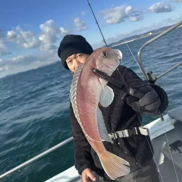 「【釣果速報】和歌山県海虎で幻の超高級魚シロアマダイをキャッチ！メジロも上がり嬉しいお土産ゲットの快挙！」の画像