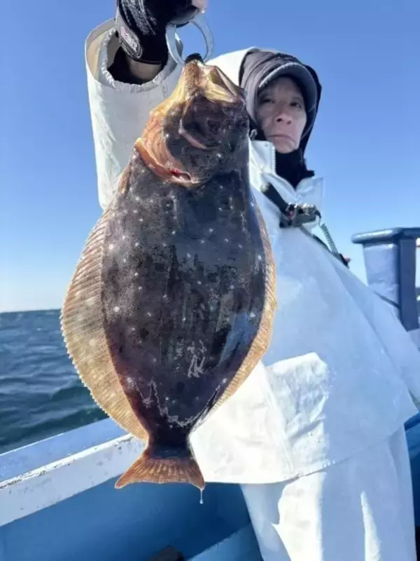 【釣果速報】千葉県第三松栄丸で人気のヒラメ釣れた！あなたも第三松栄丸でヒラメを狙おう！