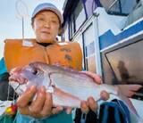 「大洗沖の一つテンヤマダイは大ダイ続々、ゲストも多彩！」の画像3