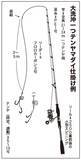 「大洗沖の一つテンヤマダイは大ダイ続々、ゲストも多彩！」の画像4