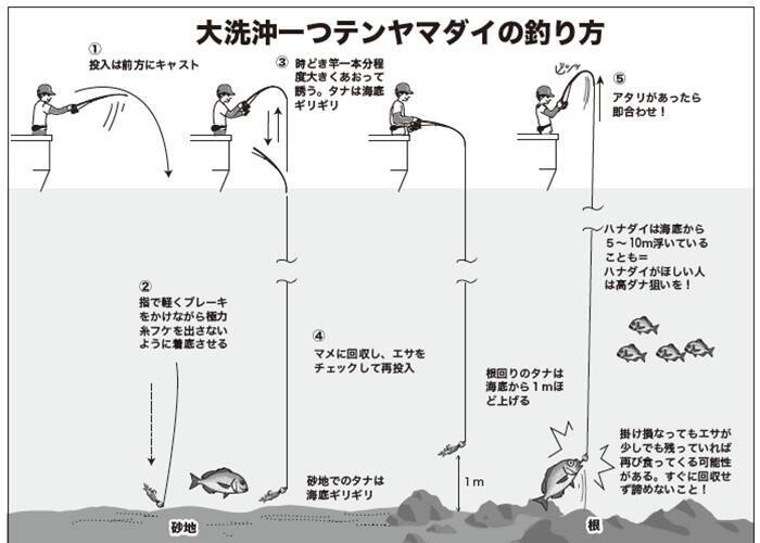 大洗沖の一つテンヤマダイは大ダイ続々、ゲストも多彩！