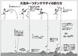 「大洗沖の一つテンヤマダイは大ダイ続々、ゲストも多彩！」の画像6