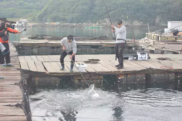 「海上釣り堀攻略のイロハ。ウキ釣りとズボ釣りのメリットは？　釣果倍増のための作戦も紹介」の画像