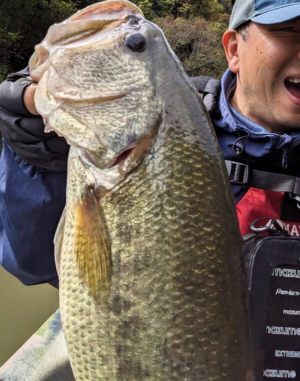 産卵を終えた春バスの釣り方はどうすればいいの？おすすめタックルもチェック