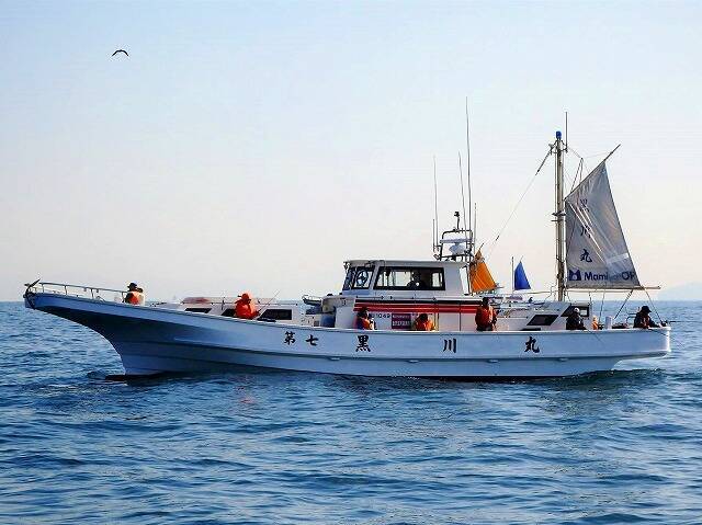 【金沢八景 黒川丸】で今釣れる魚・人気プラン3選！初心者・ファミリーも安心の手ぶら釣行ガイド