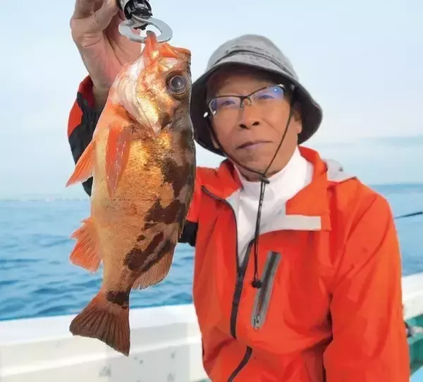 「五目達成は当たり前！根魚ワンダーランド　日立沖のカサゴ船」の画像