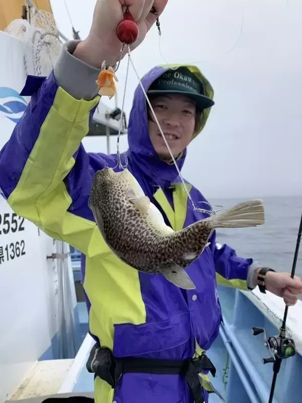 【釣果速報】茨城県幸栄丸で40cmのジャンボサイズを筆頭にショウサイフグが釣れまくり！味も極上な今が乗船どき！