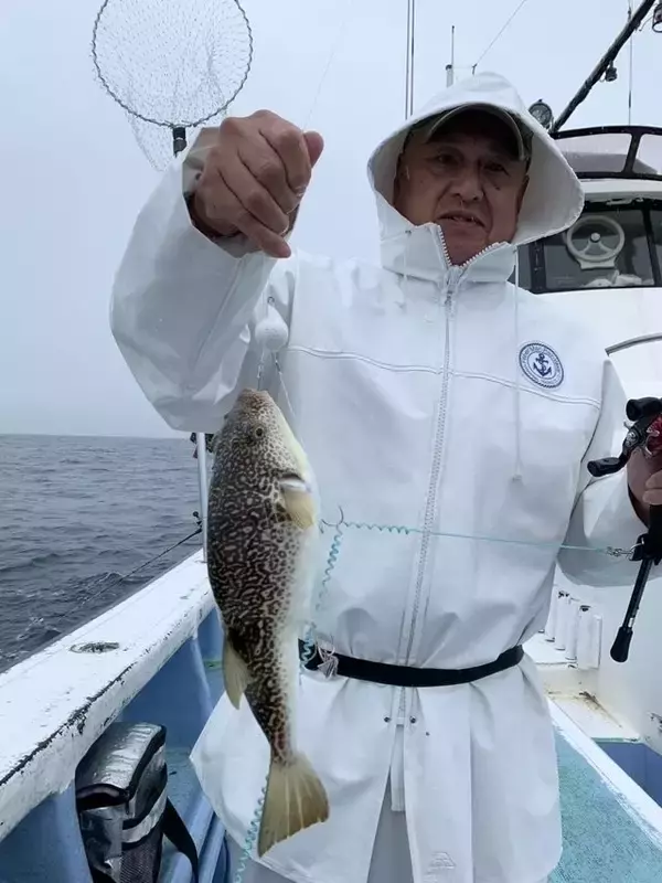 「【釣果速報】茨城県幸栄丸で40cmのジャンボサイズを筆頭にショウサイフグが釣れまくり！味も極上な今が乗船どき！」の画像
