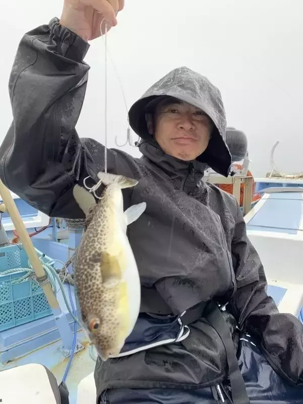 「【釣果速報】茨城県幸栄丸で40cmのジャンボサイズを筆頭にショウサイフグが釣れまくり！味も極上な今が乗船どき！」の画像