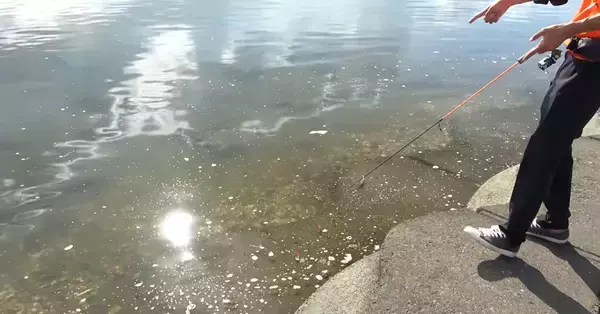 【ハゼクラ入門】ハゼをルアーで釣るにはどうすればいいの？