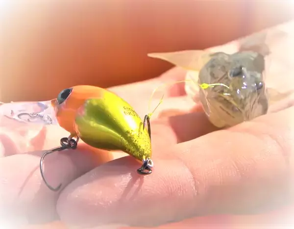 「【ハゼクラ入門】ハゼをルアーで釣るにはどうすればいいの？」の画像