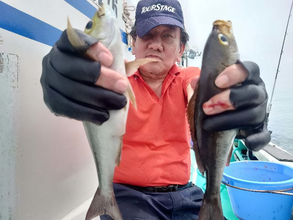 【釣果速報】千葉県利永丸でイサキラッシュ！良型揃いで釣り客大満足の好釣果！この勢いに今すぐ乗ろう！